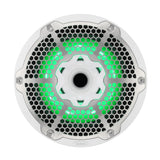 10" Marine 2-Way Hybrid Speaker with RGB LED, Compression Driver and Neodymium Magnet | 450W RMS 4-Ohm - rear view | Silarius