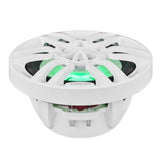 NXL 6.5' 2-Way Coaxial Marine Speaker with LED RGB Lights | 100W RMS 4-Ohm - detail view | Silarius