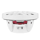 NXL 6.5' 2-Way Coaxial Marine Speaker with LED RGB Lights | 100W RMS 4-Ohm - detail view | Silarius