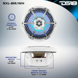 NXL 8' 2-Way Coaxial Marine Speaker With LED RGB Lights 125 Watts Rms 4-Ohm - detail view | Silarius