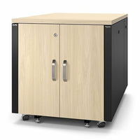 APC AR4012A NetShelter Soundproof, Server Rack Enclosure, 12U