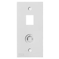 Hubbell KP2140W KP Series 1-Gang Faceplate, Coax Opening(1) Jack Opening(1), White