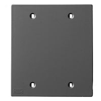Hubbell KP24BK Faceplate, 2-Gang, Blank, Black
