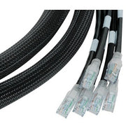 Belden C601100011A06 3600 Pre-Term Assem