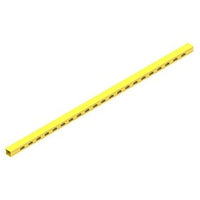 Belden FRD1TYL Fiber Raceway Slotted Duc