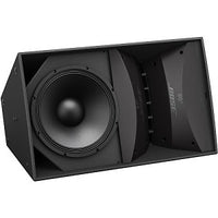 Bose Professional AM40/100 ArenaMatch AM40 DeltaQ Array Outdoor Loudspeaker 100x40