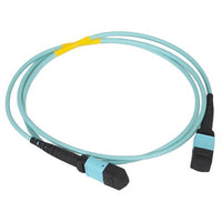 ICC ICFOJATQ20 NCNR 12-Fiber Jumper, MTP-MTP, Multimode, 50/125 OM4
