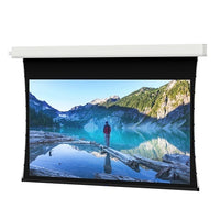 Da-Lite 21800FL 159" Tensioned Advantage Electric Projection Screen Surface Roller and Motor, Ceiling Recessed, Slot Closure, Designed for 16:9 HDTV, HD Progressive 1.0, TAA Compliant