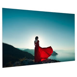 Da-Lite FC11H87X139 FullVision Fixed Frame Projection Screen, Fixed Frame Screen, 16:10 Wide Wide, HD Progressive 1.0, 164" Screen, TAA Compliant