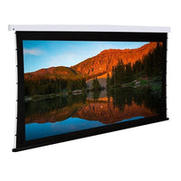 Dragonfly DFM-TAB-110-UAW Motorized Tab Tension Ultra AcoustiWeave Projection Screen, 110"