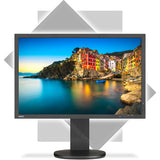 NEC P243W-BK Professional sRGB Gamut 24" 16:10 IPS Monitor